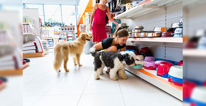 Tiendas de productos para mascotas auxiliar veterinario